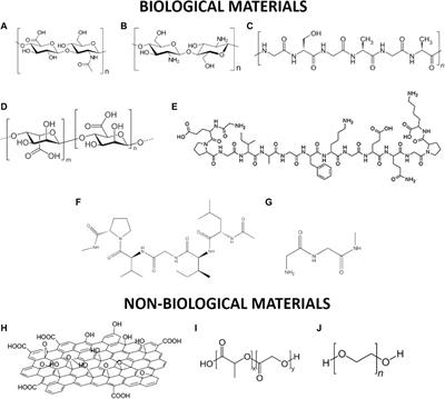 Peptide Biomaterials for Tissue Regeneration